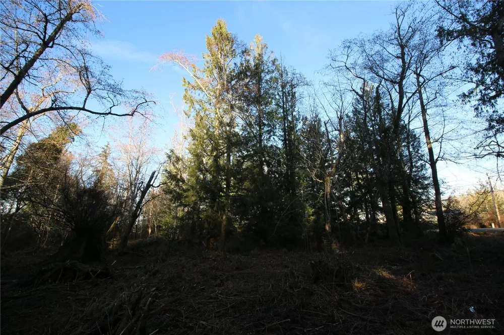 0 91st Ave SW Vashon, WA 98070