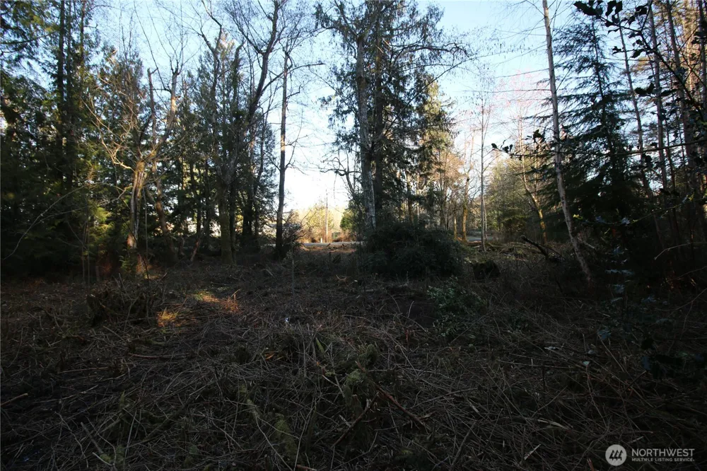 0 91st Ave SW Vashon, WA 98070