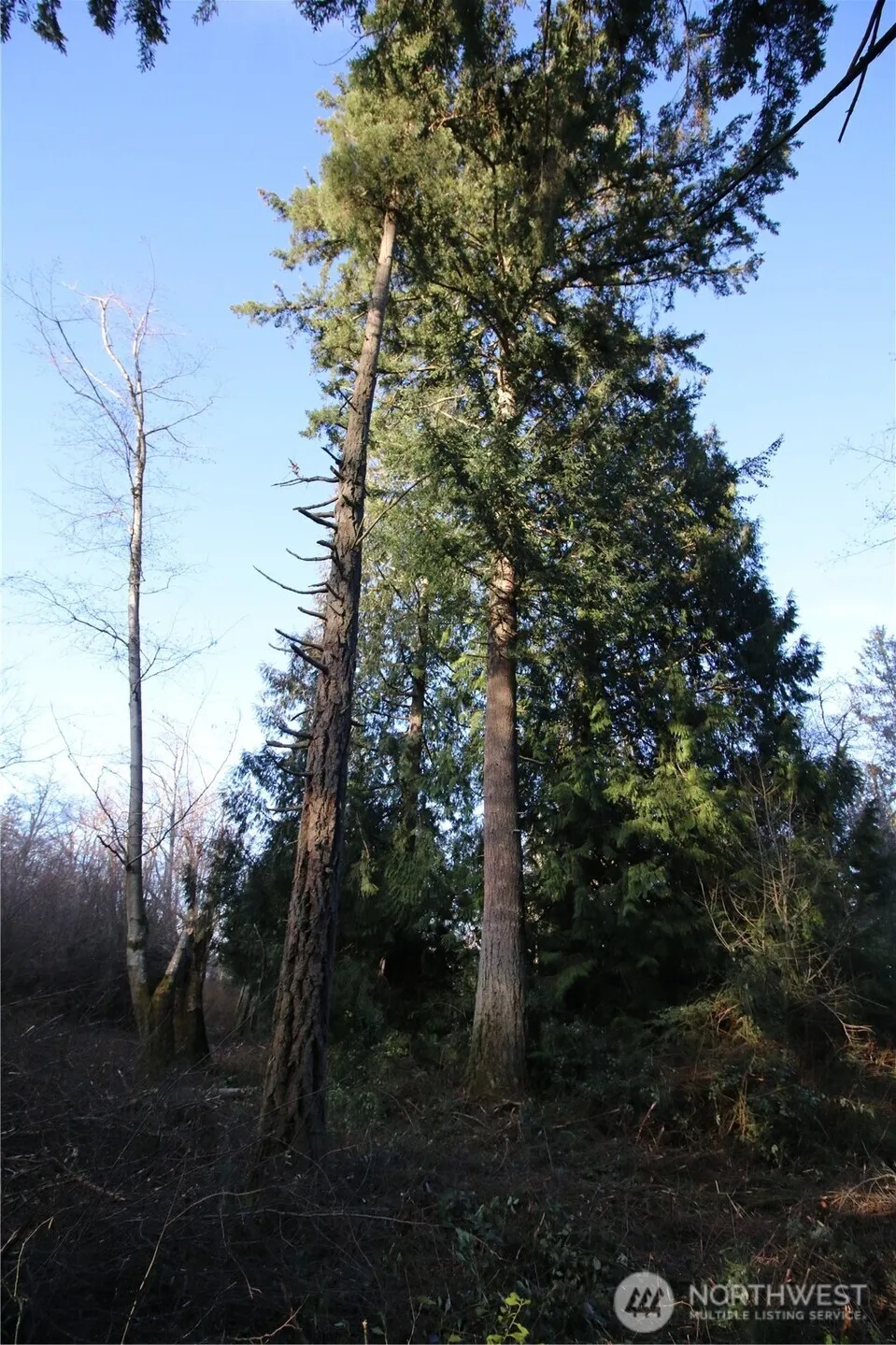 0 91st Ave SW Vashon, WA 98070