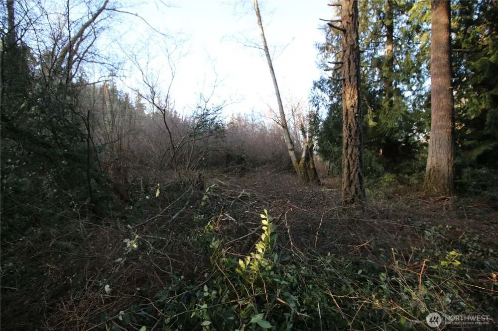 0 91st Ave SW Vashon, WA 98070