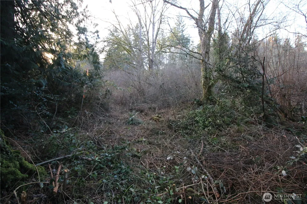 0 91st Ave SW Vashon, WA 98070