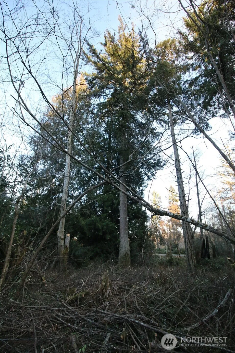0 91st Ave SW Vashon, WA 98070