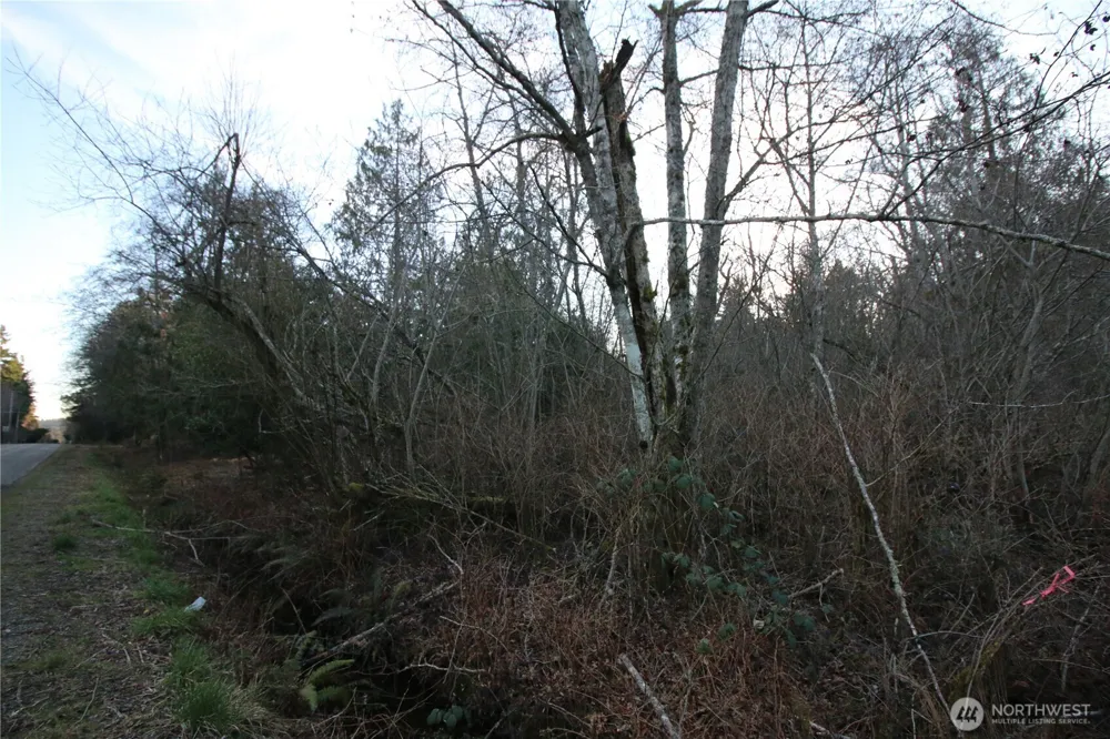 0 91st Ave SW Vashon, WA 98070