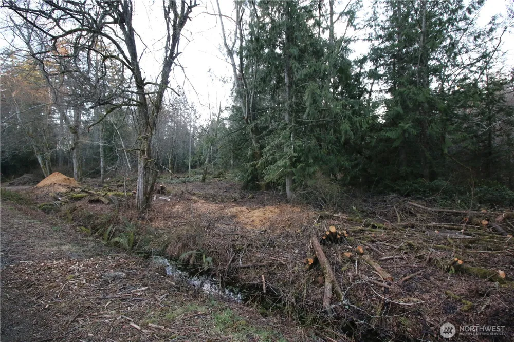 0 91st Ave SW Vashon, WA 98070