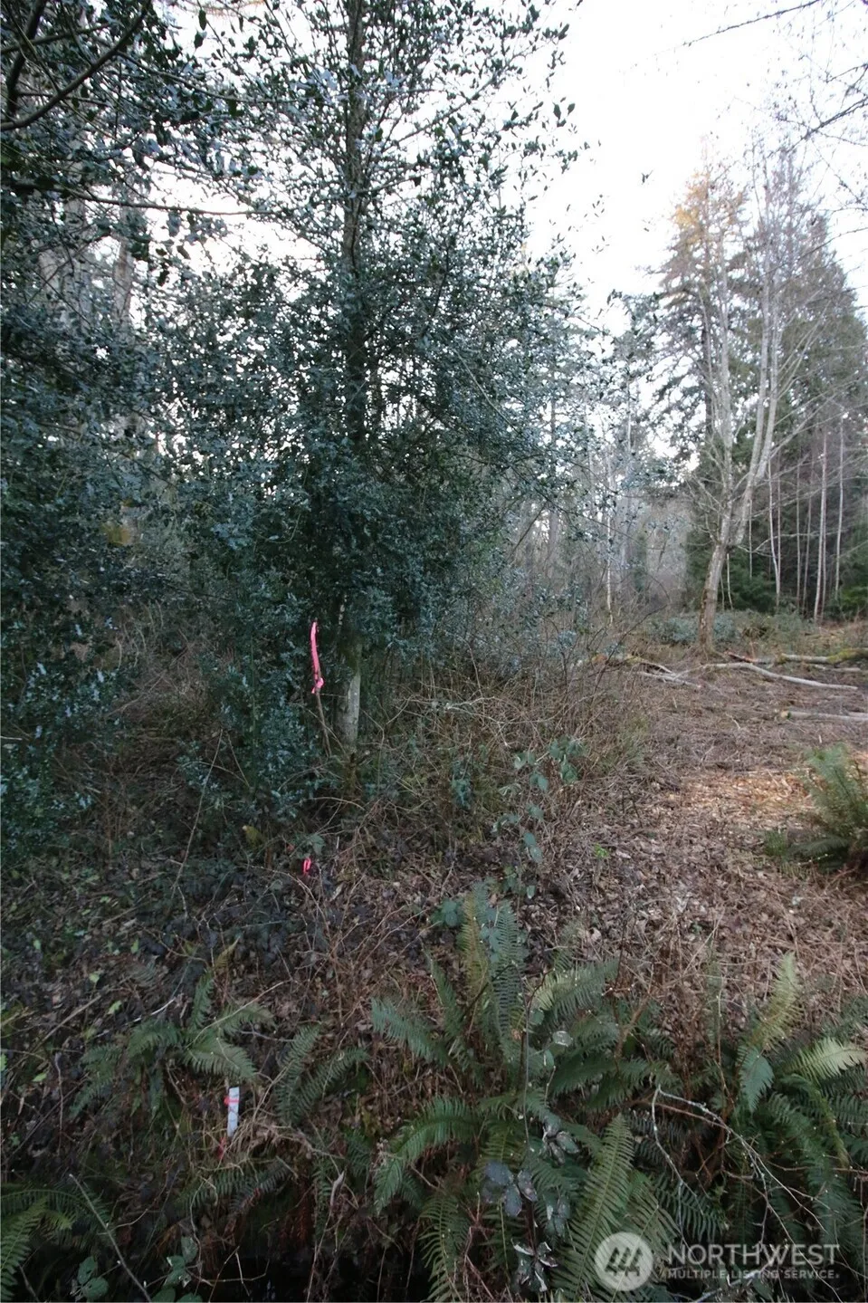 0 91st Ave SW Vashon, WA 98070