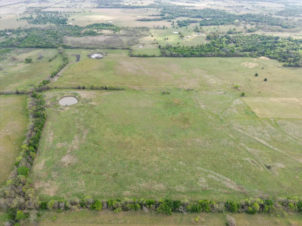 Fm 709 S Purdon, TX 76679