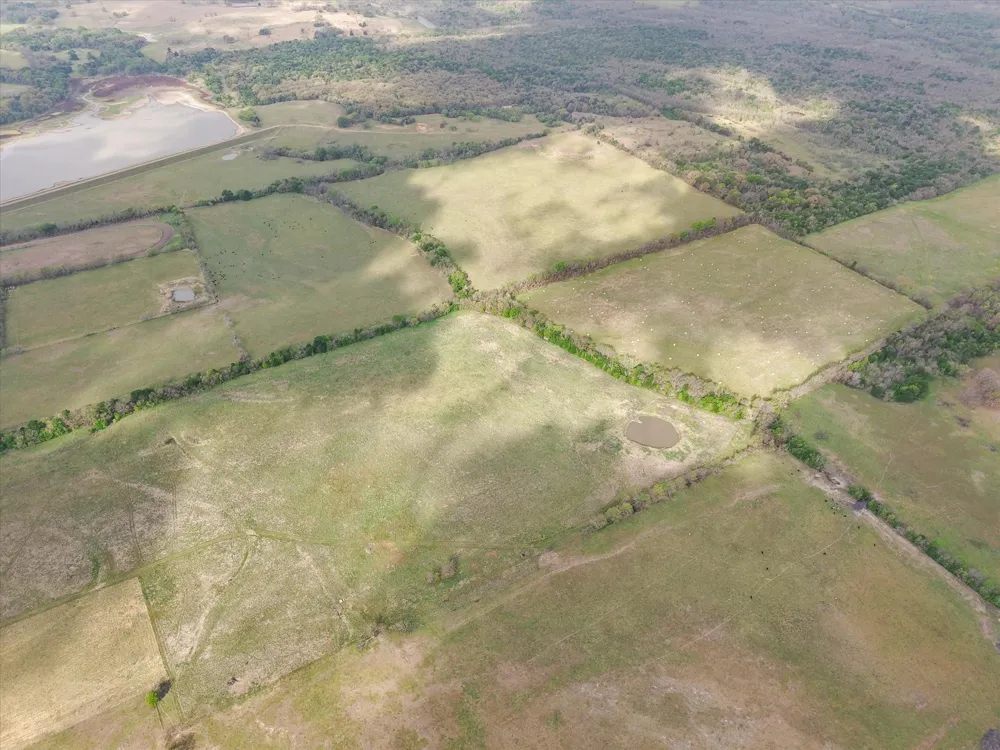 Fm 709 S Purdon, TX 76679