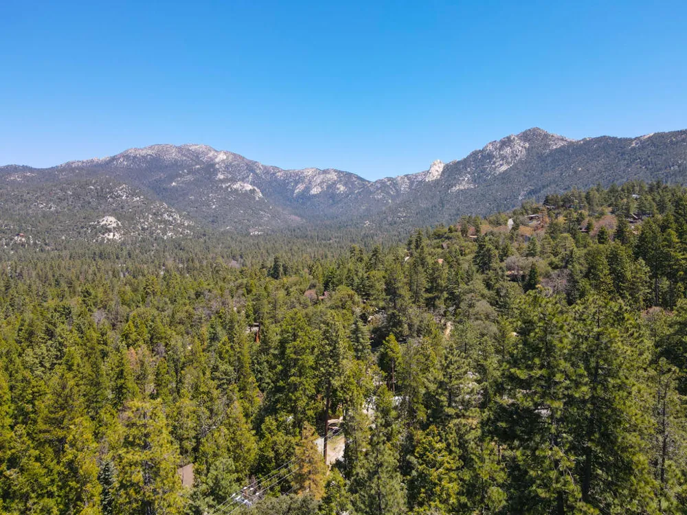 54062 Linger Lane Idyllwild, CA 92549