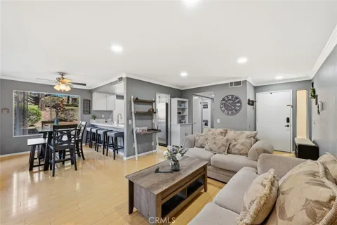 1016 Grape Street