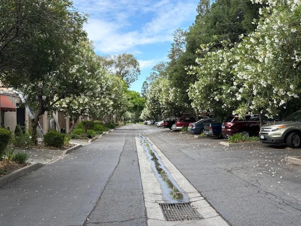 449 Alberto Way #131 Los Gatos, CA 95032