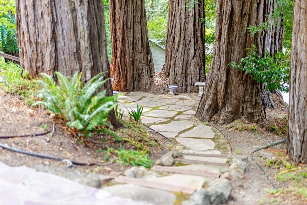 106 Hidden Drive Scotts Valley, CA 95066