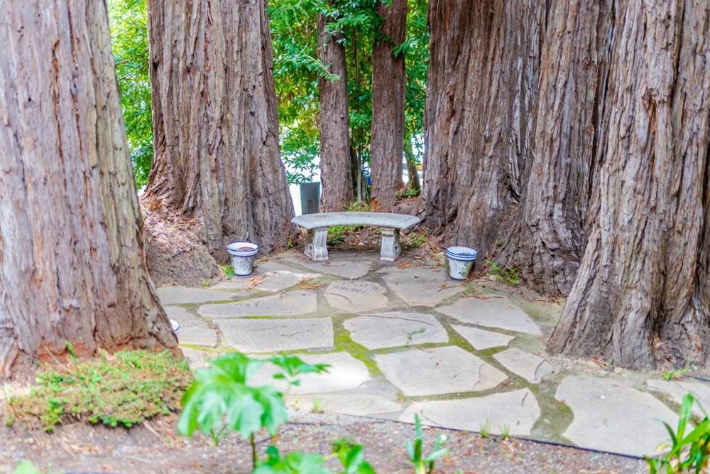 106 Hidden Drive Scotts Valley, CA 95066