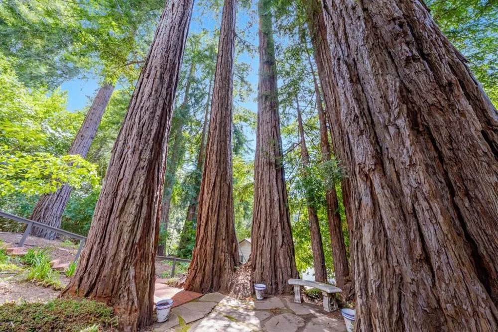 106 Hidden Drive Scotts Valley, CA 95066