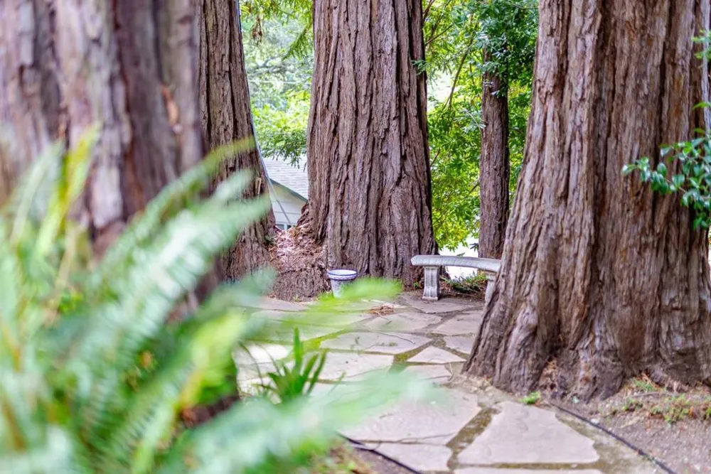 106 Hidden Drive Scotts Valley, CA 95066