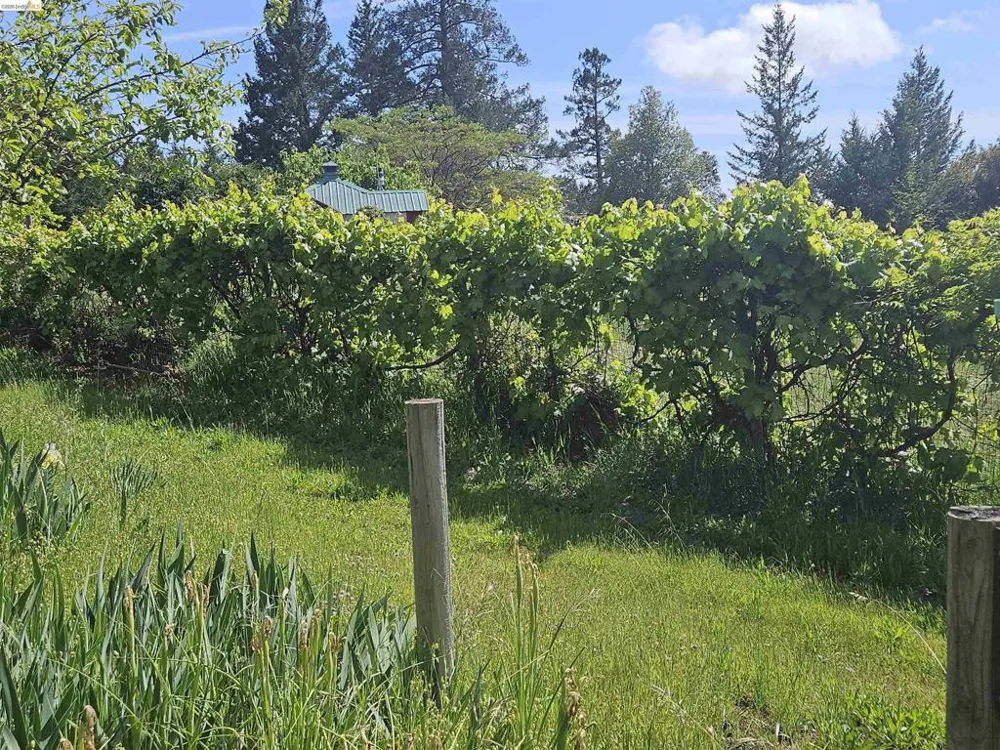 49100 WICKERSHAM ROAD Geyserville, CA 95441