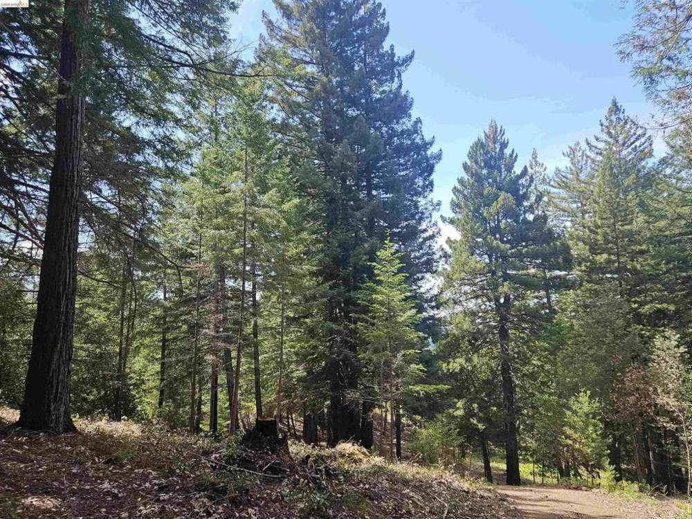 49100 WICKERSHAM ROAD Geyserville, CA 95441