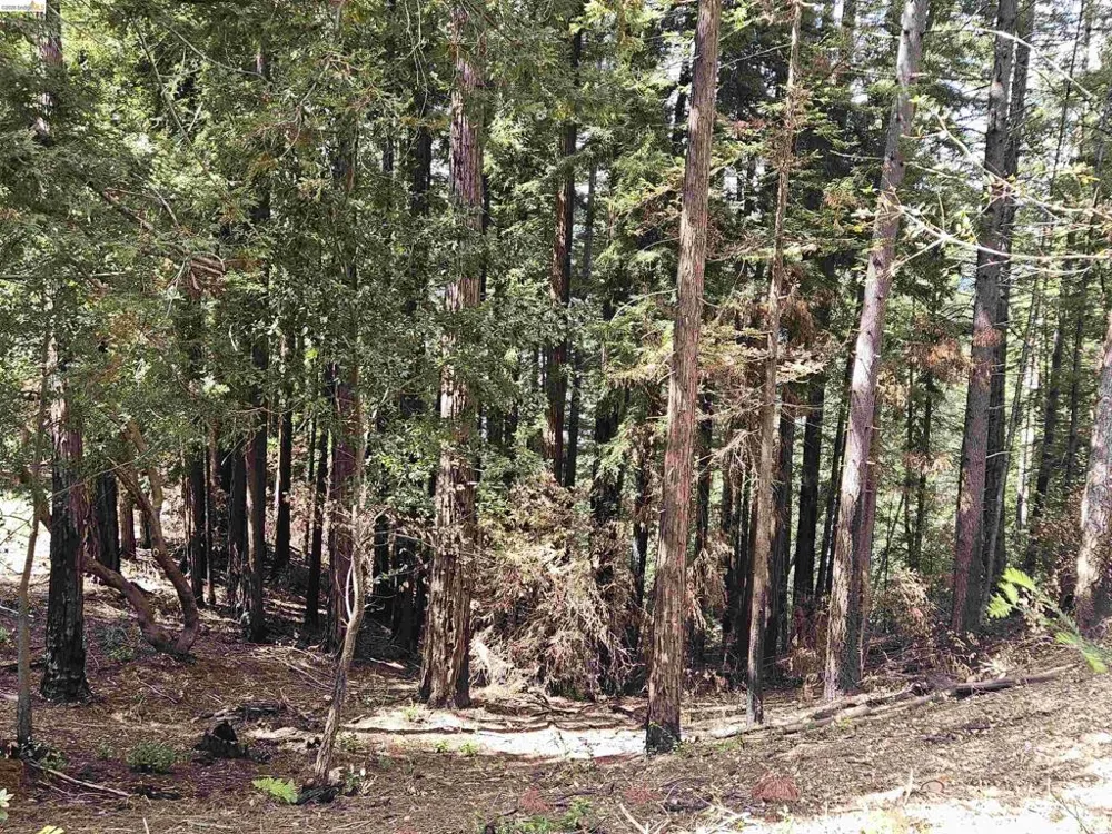 49100 WICKERSHAM ROAD Geyserville, CA 95441