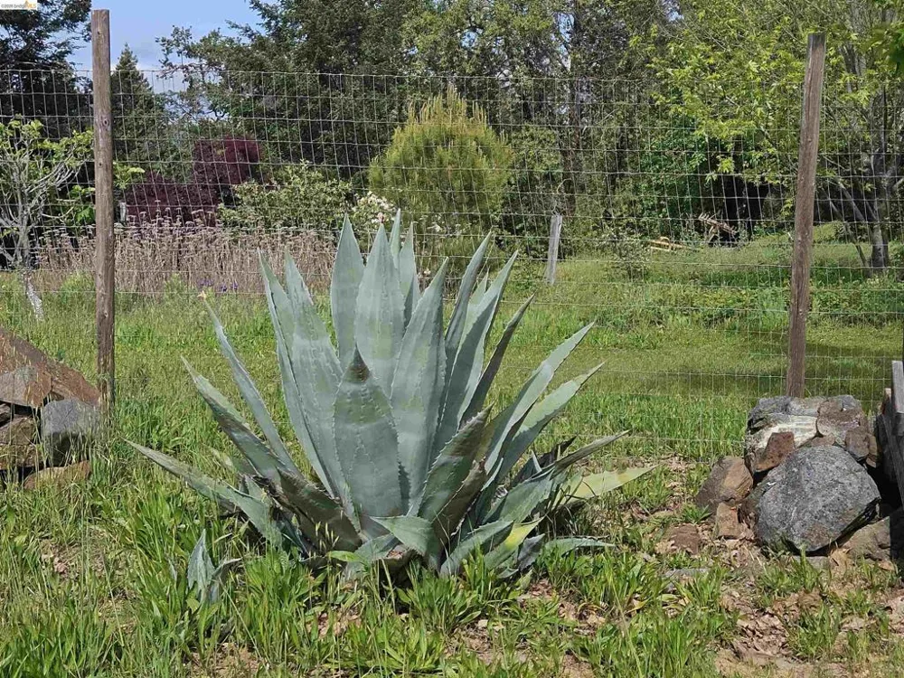 49100 WICKERSHAM ROAD Geyserville, CA 95441