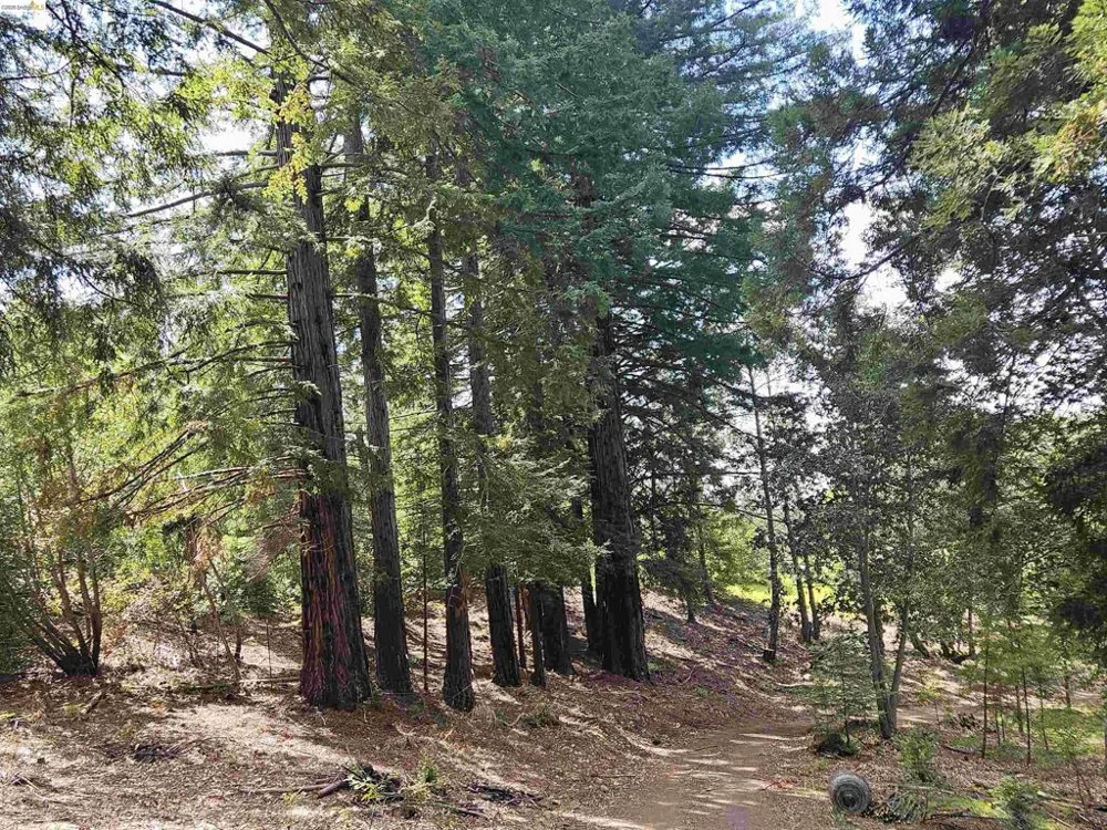 49100 WICKERSHAM ROAD Geyserville, CA 95441