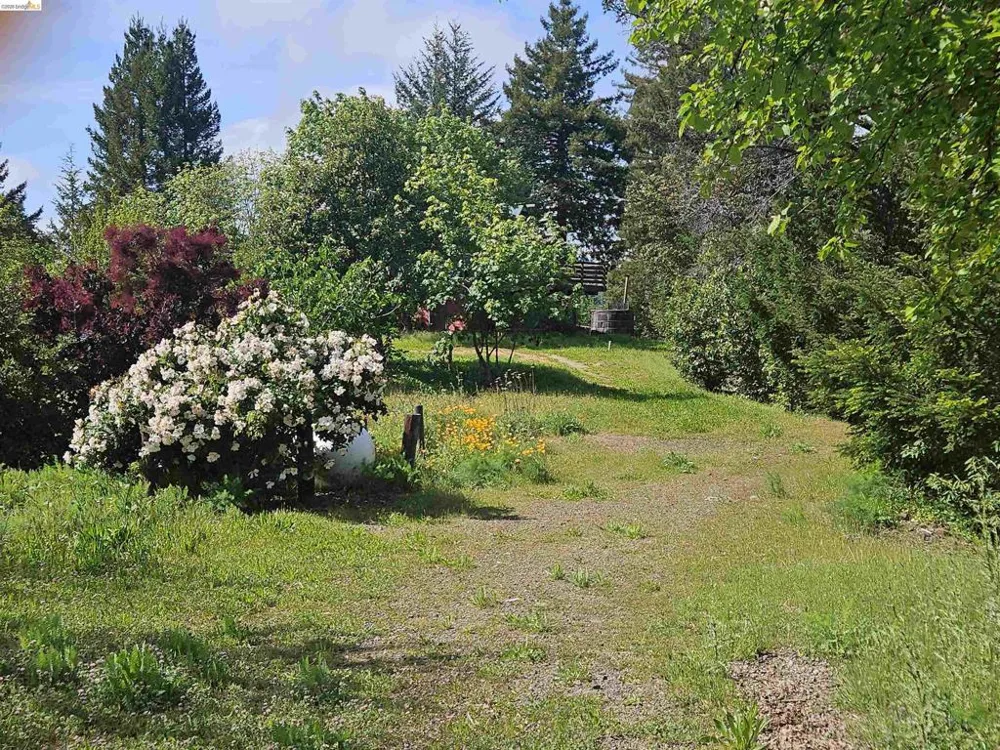49100 WICKERSHAM ROAD Geyserville, CA 95441