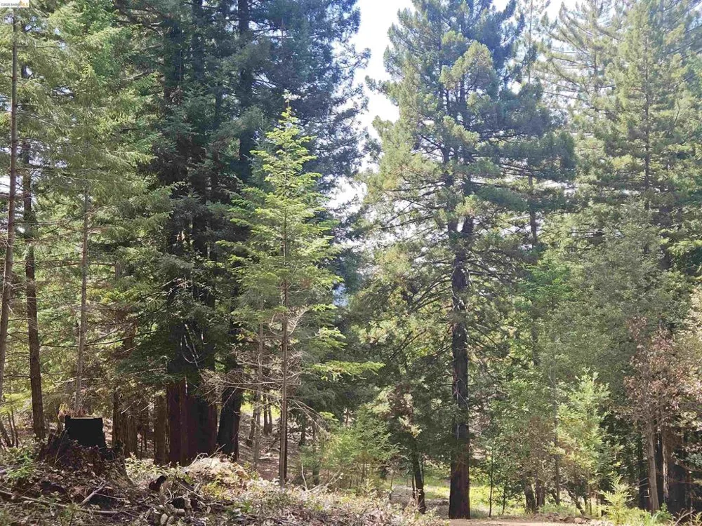 49100 WICKERSHAM ROAD Geyserville, CA 95441