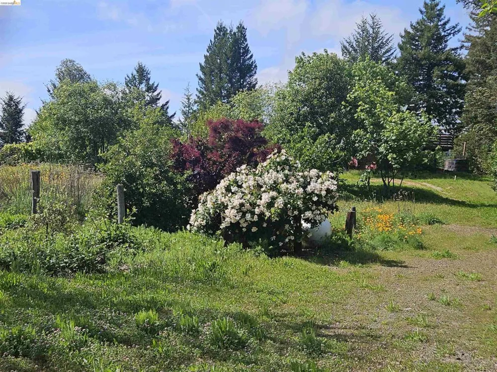 49100 WICKERSHAM ROAD Geyserville, CA 95441