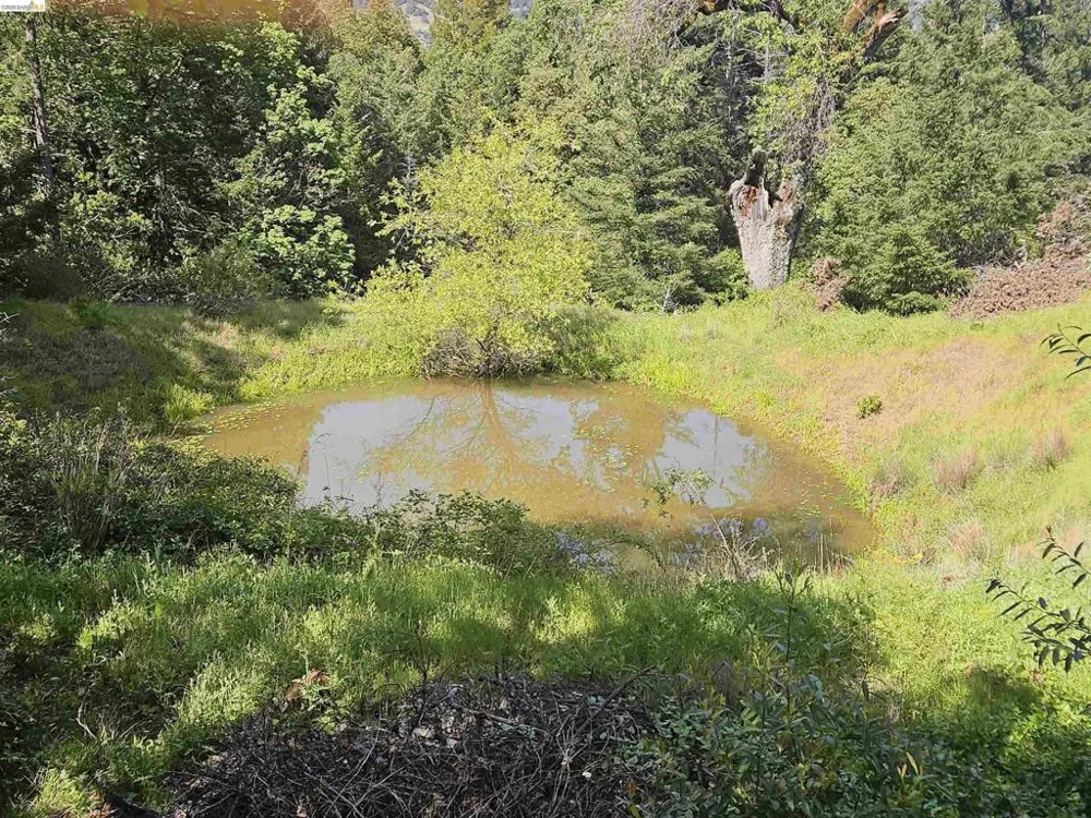 49100 WICKERSHAM ROAD Geyserville, CA 95441