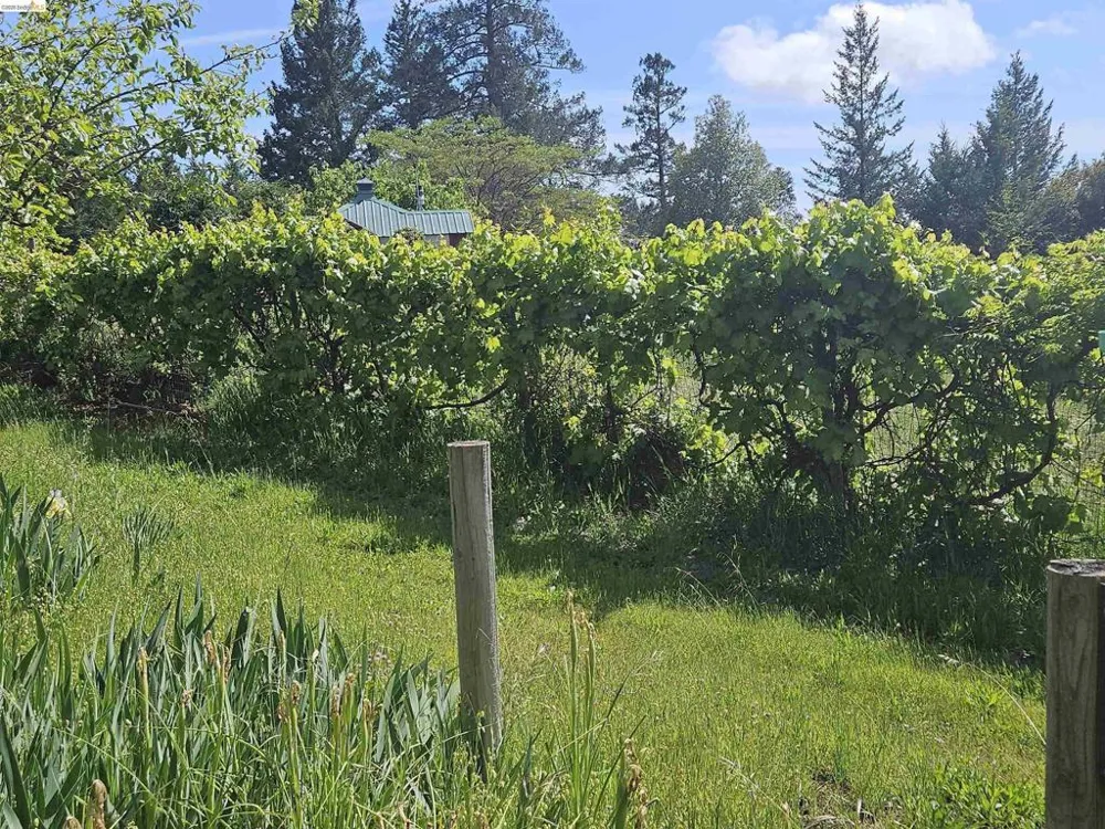 49100 WICKERSHAM ROAD Geyserville, CA 95441