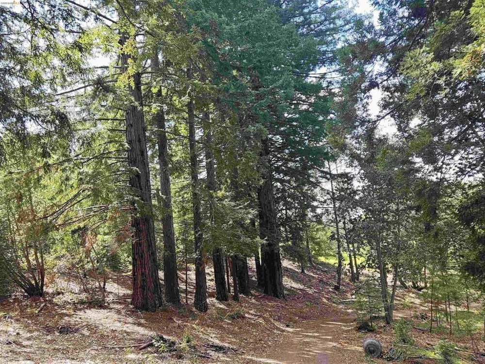 49100 WICKERSHAM ROAD Geyserville, CA 95441