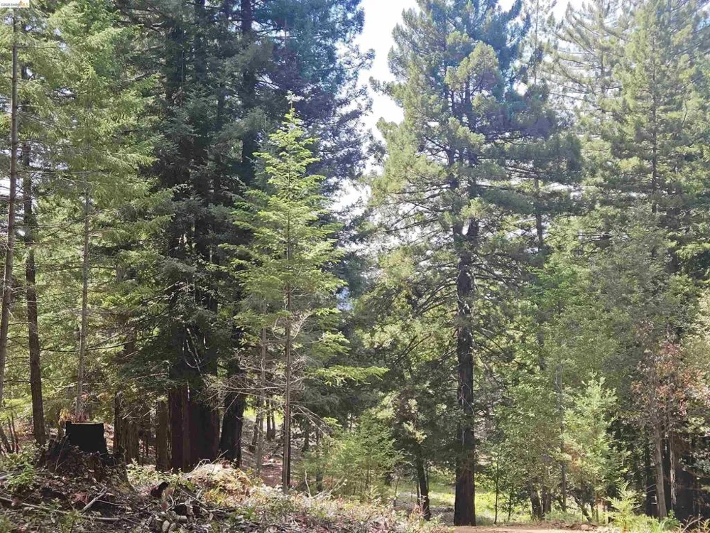 49100 WICKERSHAM ROAD Geyserville, CA 95441