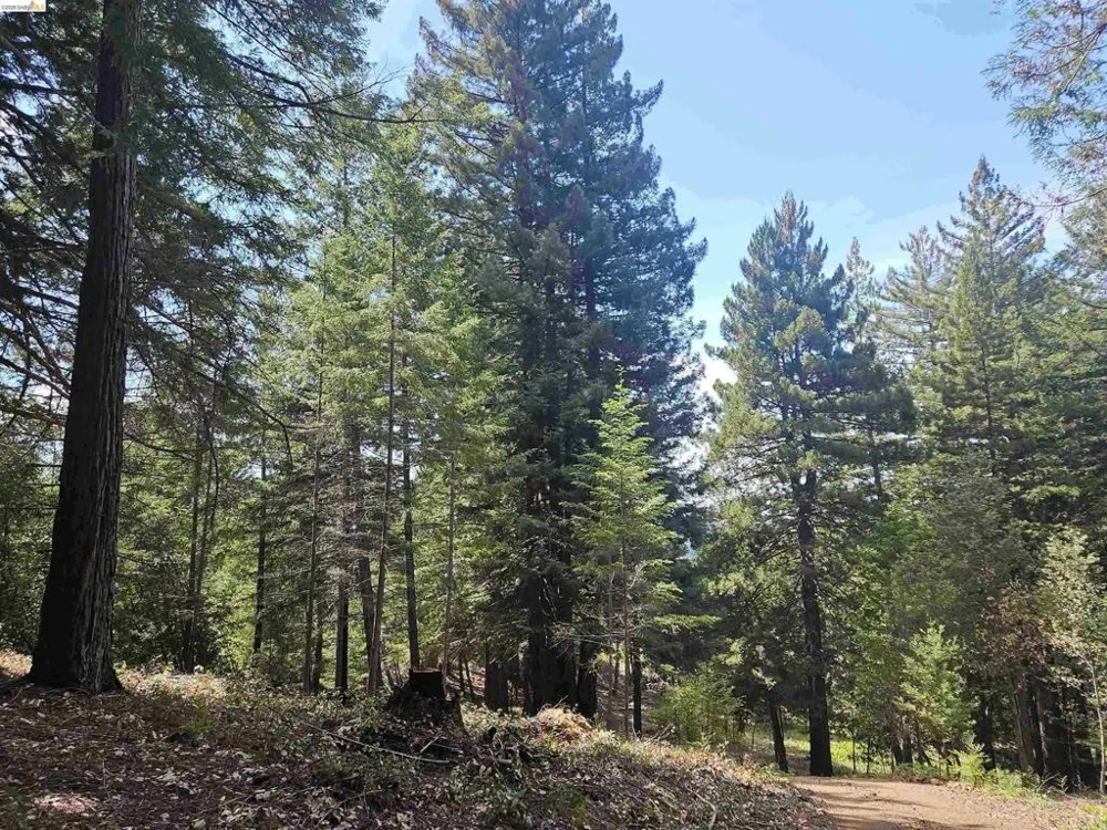49100 WICKERSHAM ROAD Geyserville, CA 95441