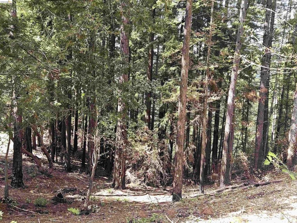 49100 WICKERSHAM ROAD Geyserville, CA 95441