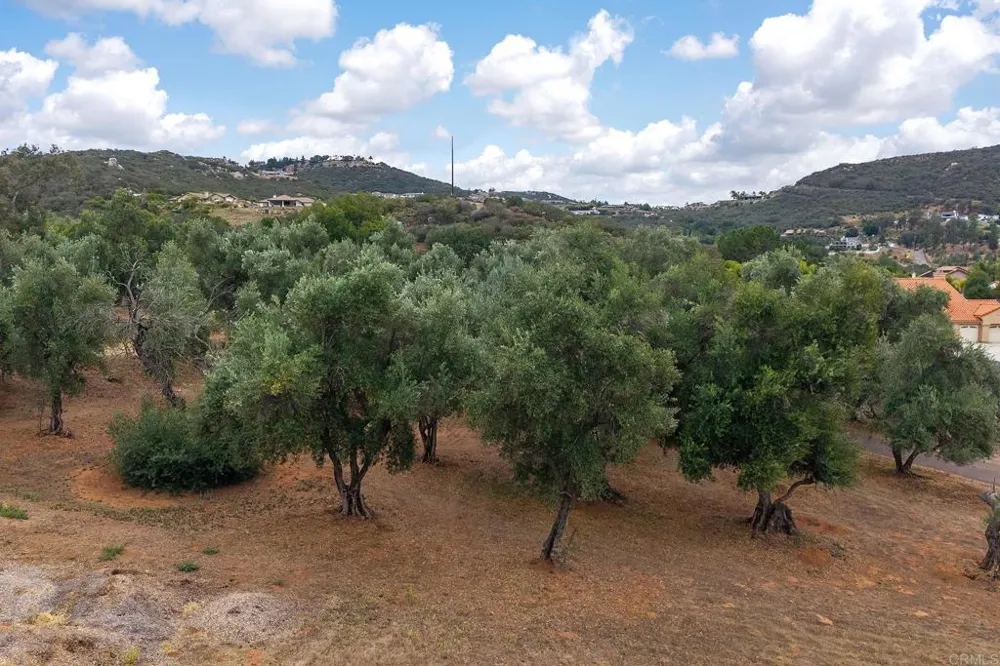 450 SUMMERHILL CT Alpine, CA 91901