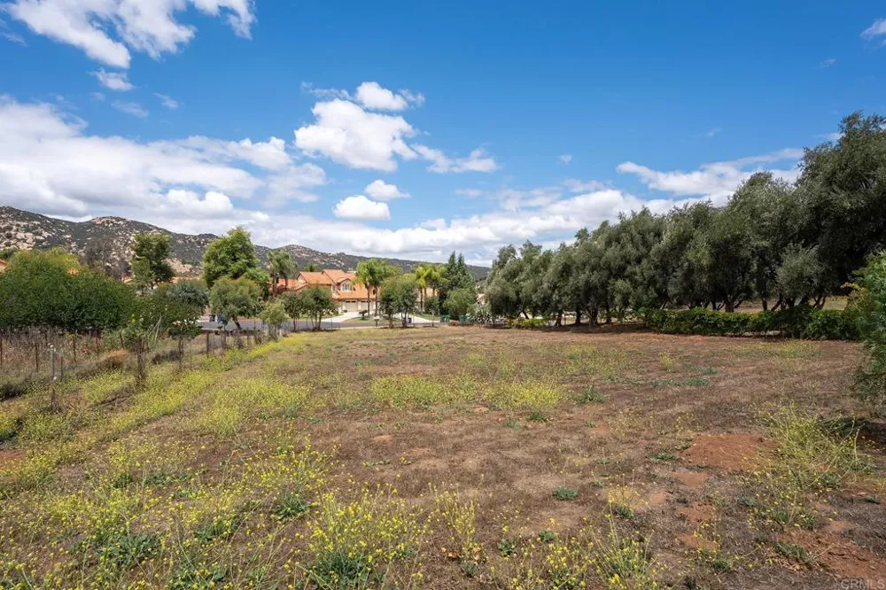 450 SUMMERHILL CT Alpine, CA 91901