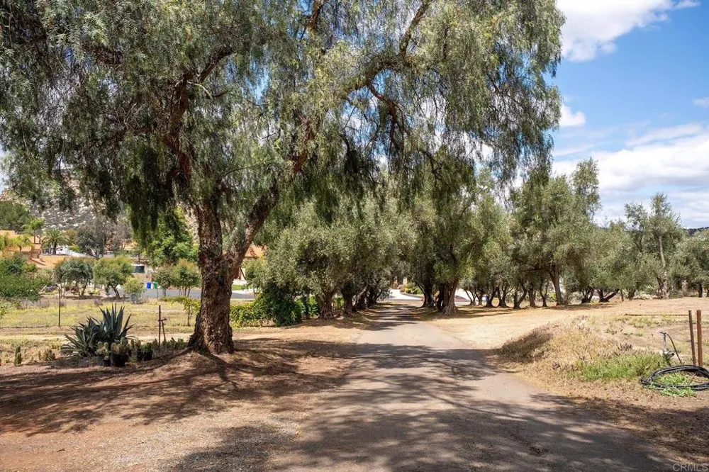 450 SUMMERHILL CT Alpine, CA 91901