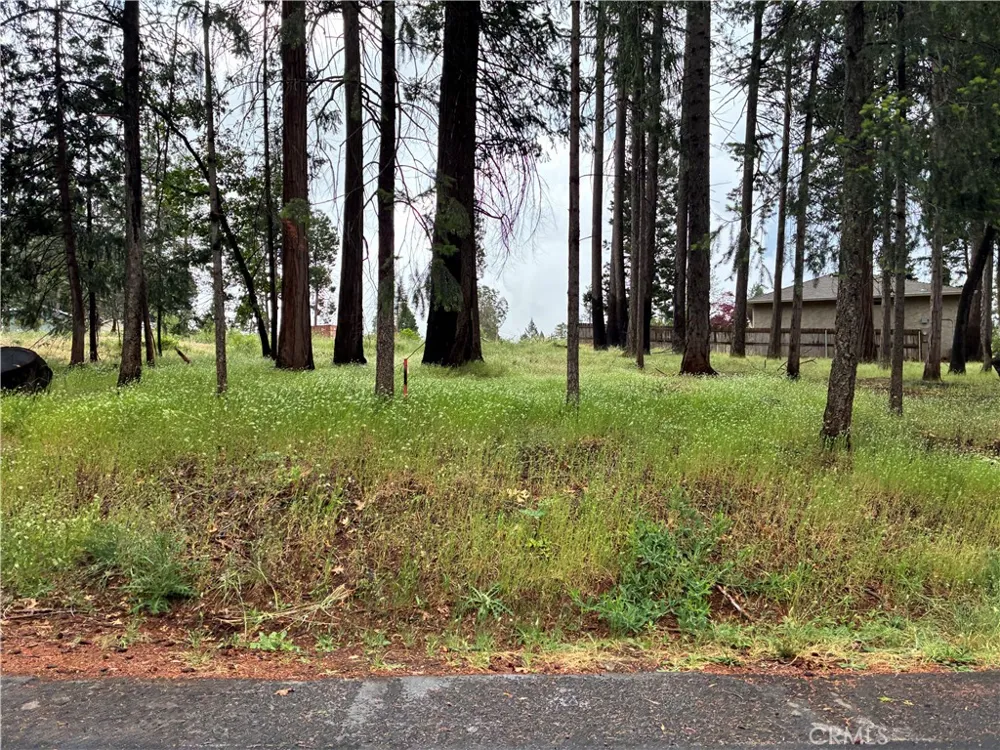 Pineland Circle Magalia, CA 95954