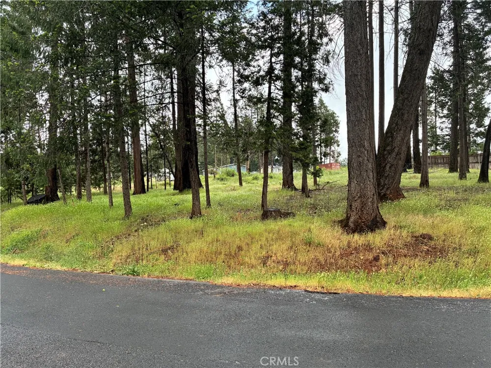 Pineland Circle Magalia, CA 95954