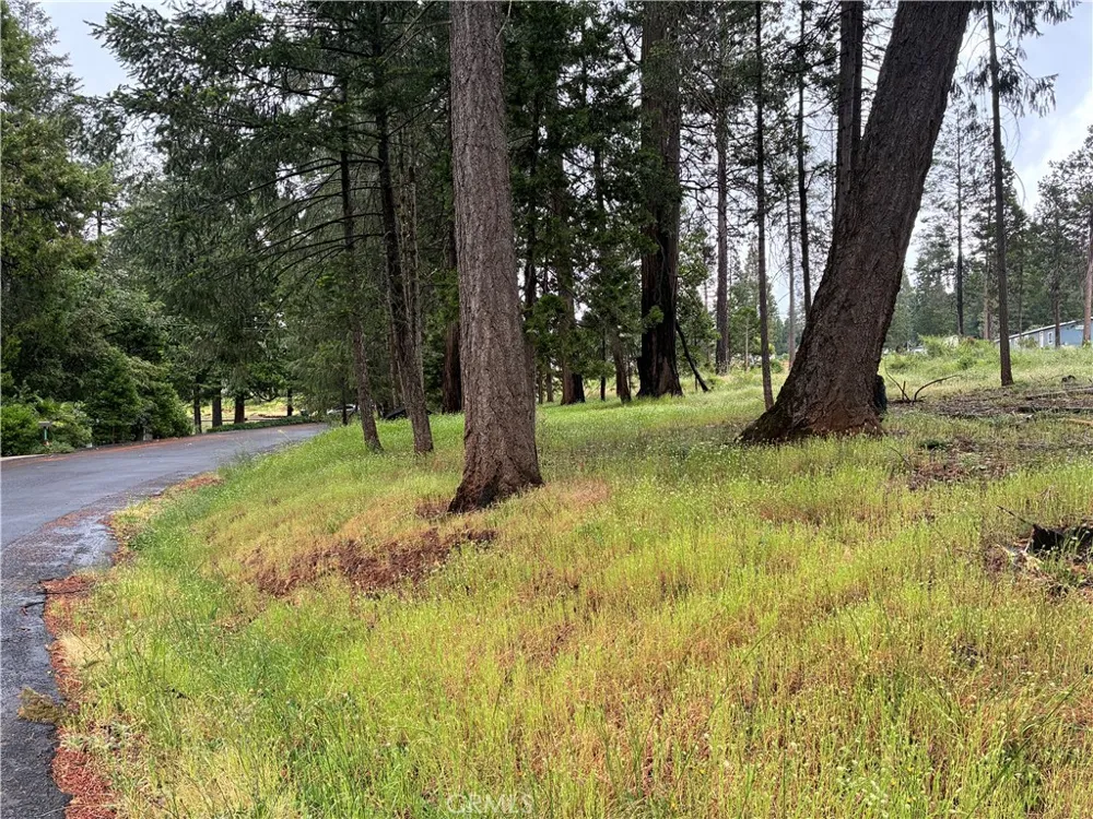 Pineland Circle Magalia, CA 95954