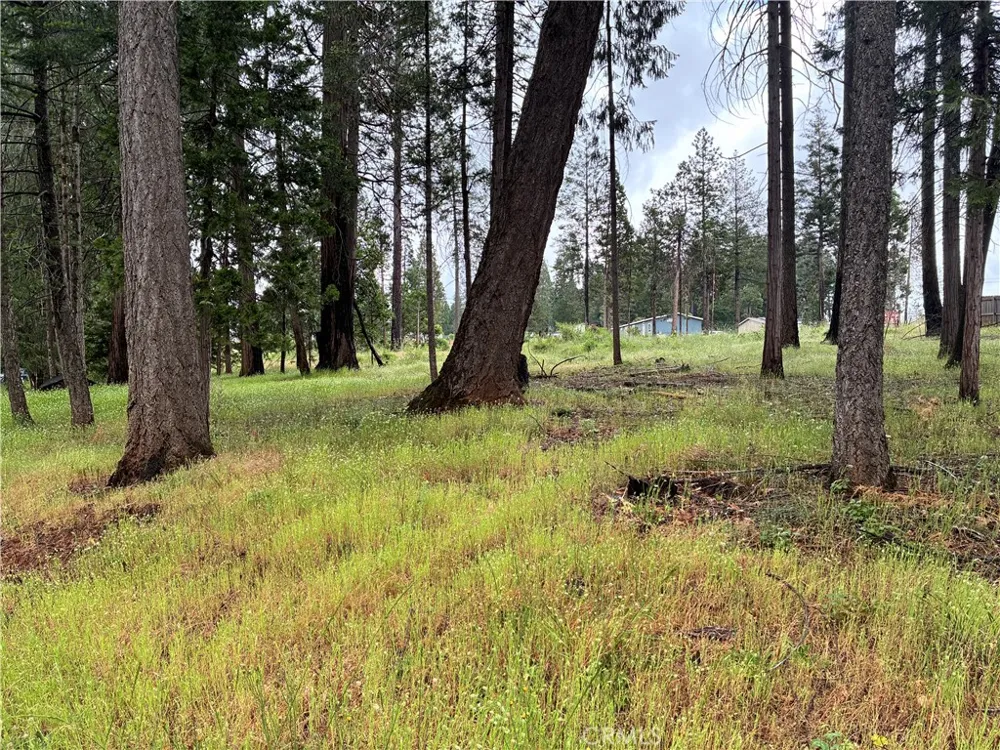 Pineland Circle Magalia, CA 95954