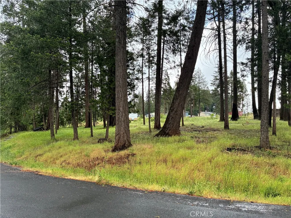Pineland Circle Magalia, CA 95954