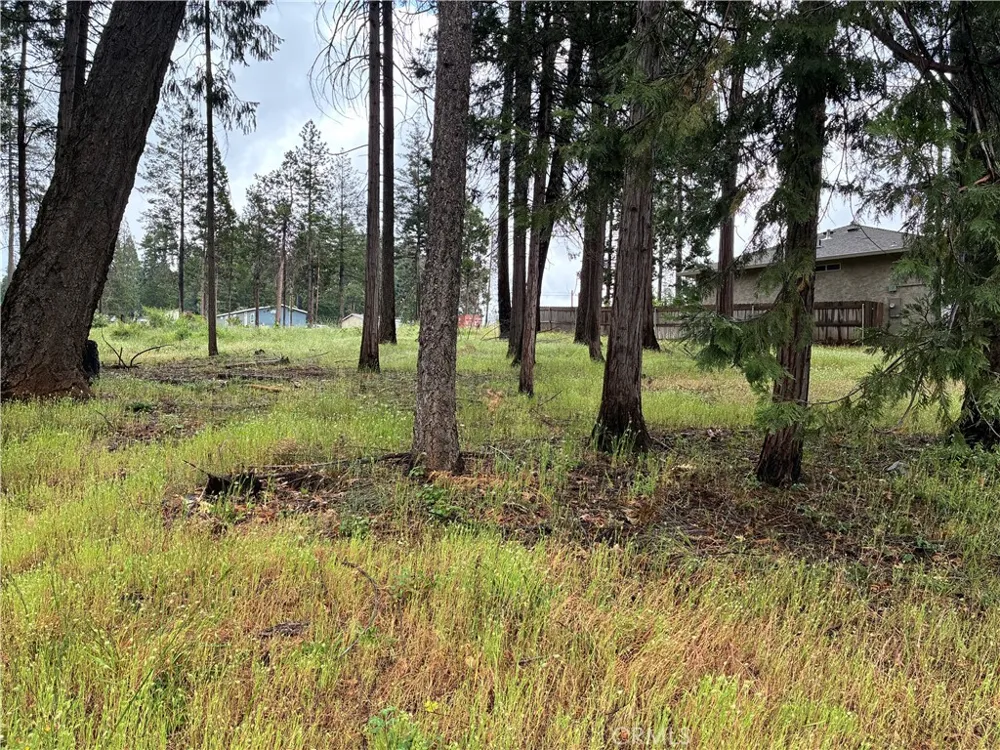 Pineland Circle Magalia, CA 95954