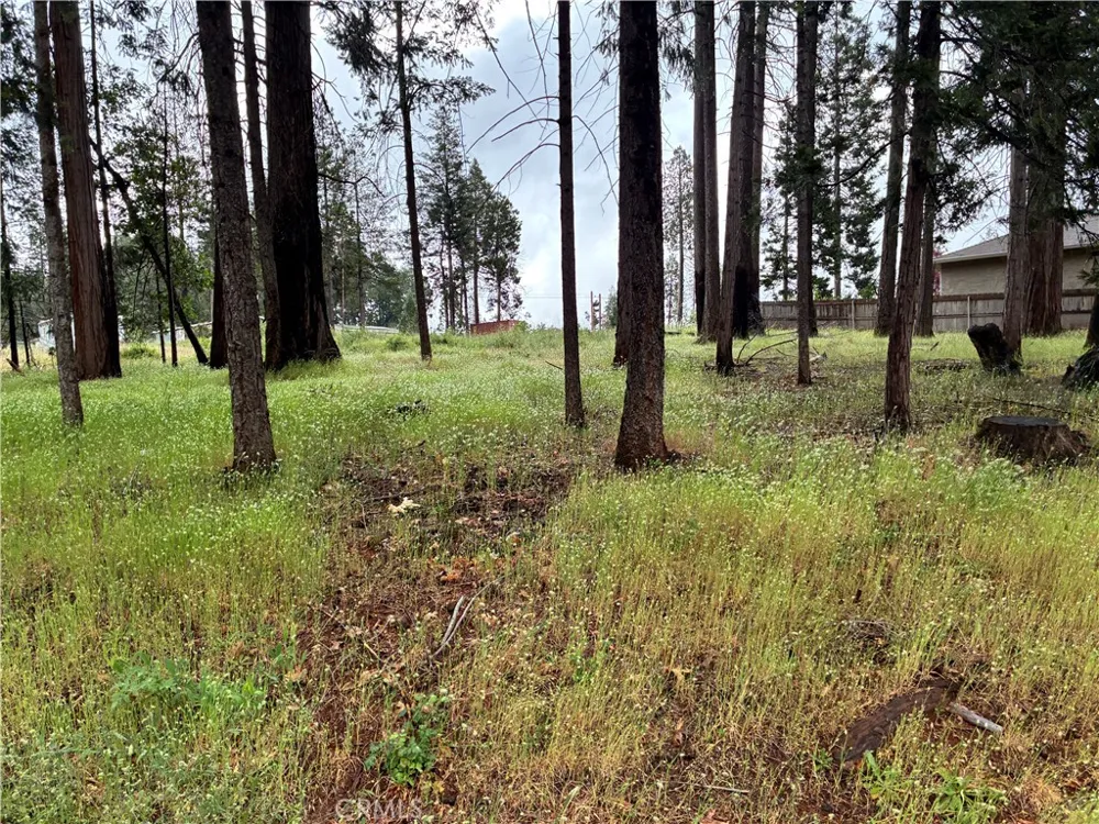 Pineland Circle Magalia, CA 95954
