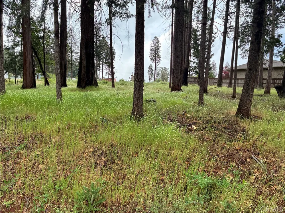 Pineland Circle Magalia, CA 95954