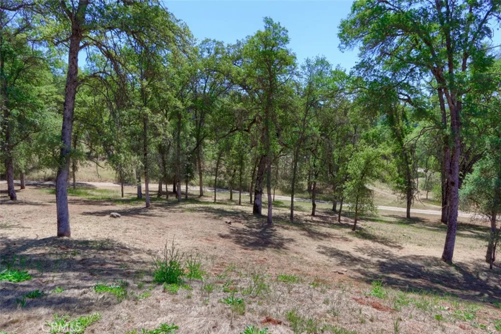 4121 Old Hwy Mariposa, CA 95338