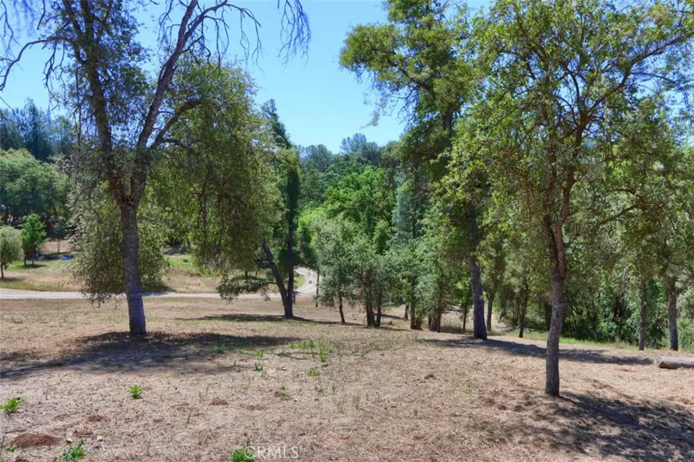 4121 Old Hwy Mariposa, CA 95338