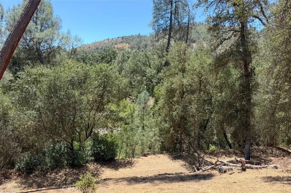 4121 Old Hwy Mariposa, CA 95338