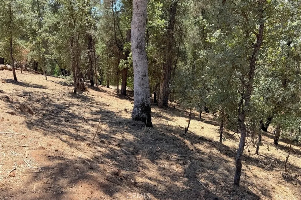 4121 Old Hwy Mariposa, CA 95338