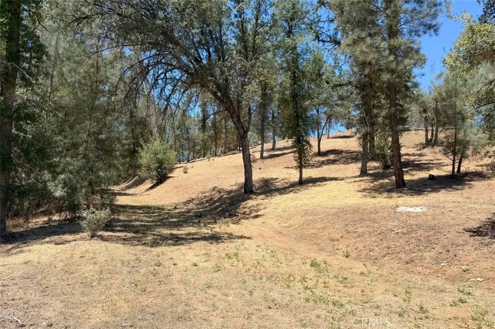 4121 Old Hwy Mariposa, CA 95338