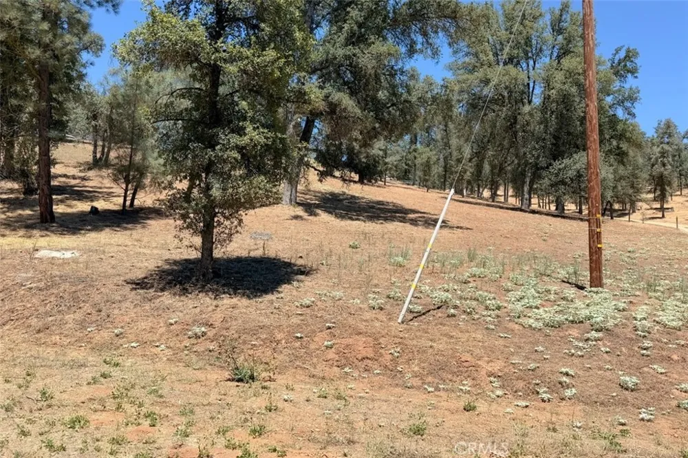 4121 Old Hwy Mariposa, CA 95338