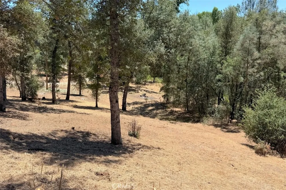 4121 Old Hwy Mariposa, CA 95338